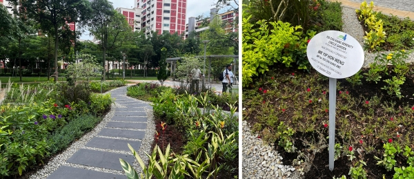 DLA Pic 3 & Pic4