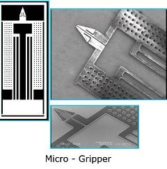 micro2