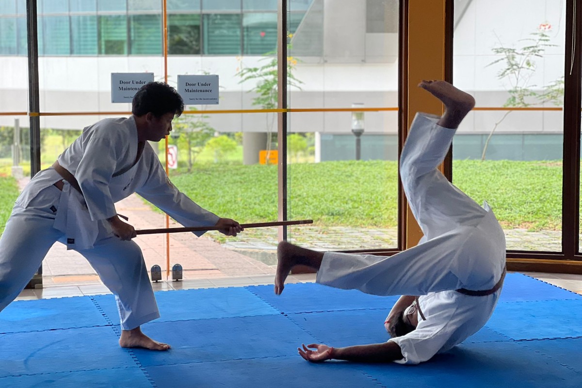 SD-Aikido-v01